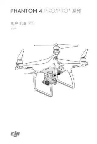 DJI大疆精灵 Phantom 4 Pro